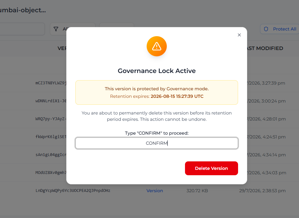 Delete Governance Version