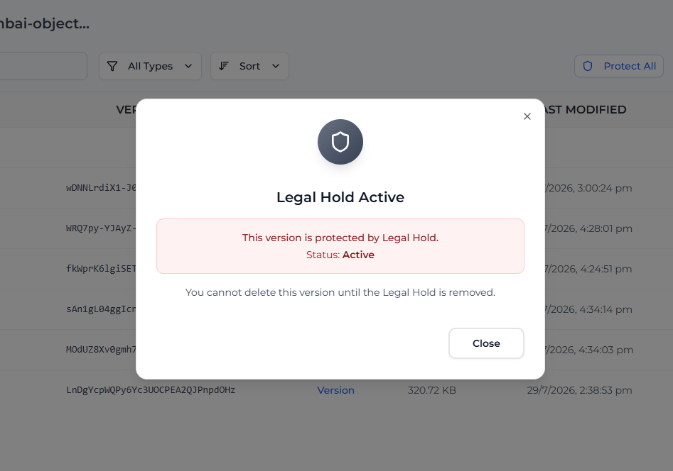 Cannot Delete Legal Hold Version