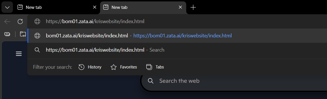 Public object link opened in a browser